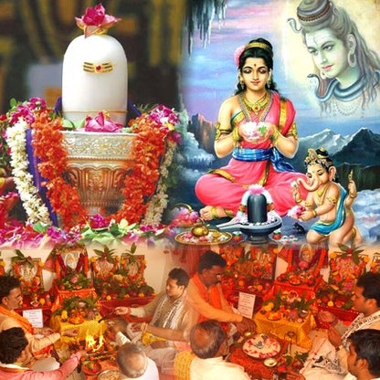 शिव रुद्राभिषेक पूजा किट (33 सामग्री)